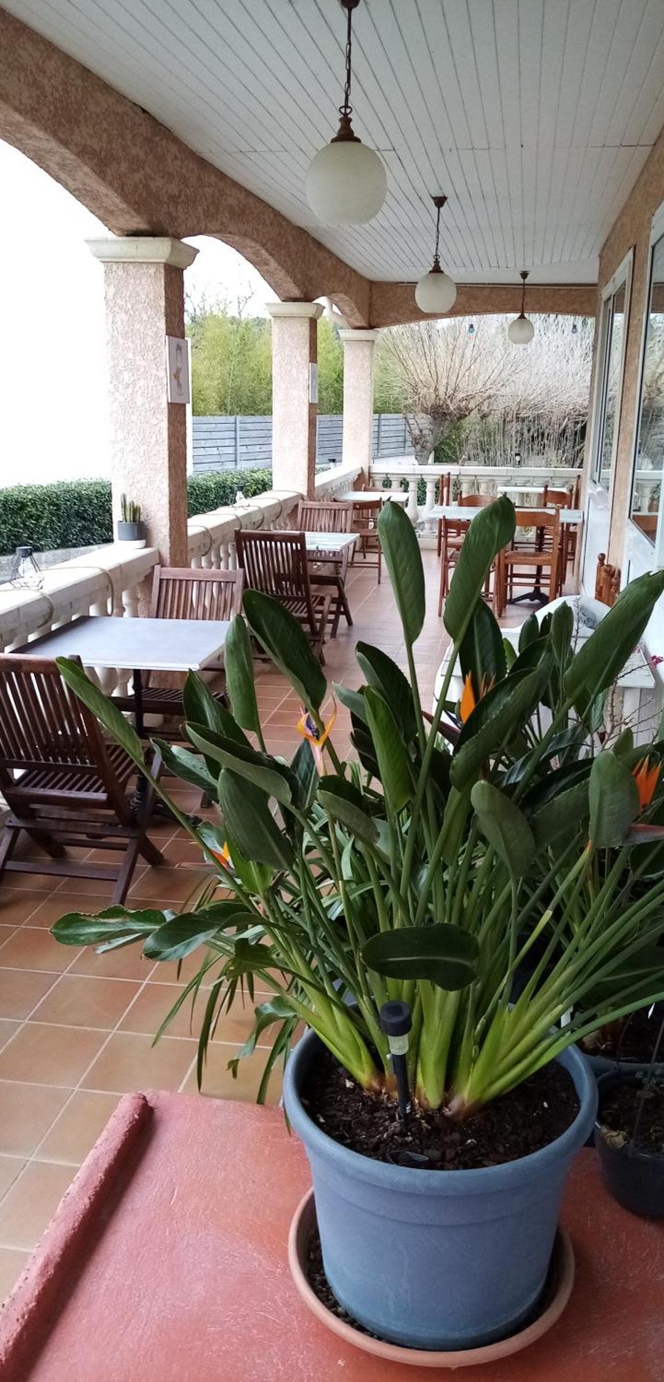 Отель Le Grand Jardin Aujargues Экстерьер фото